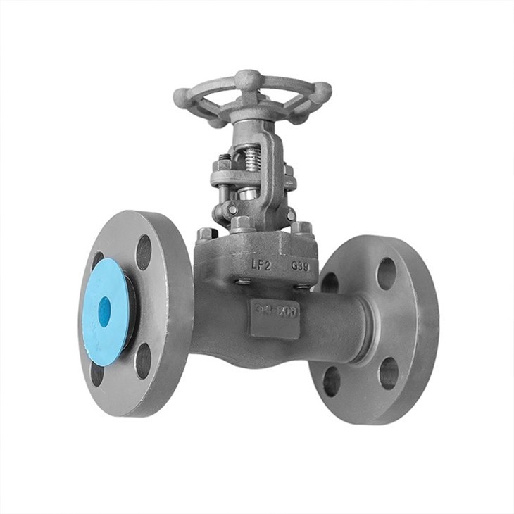 Cryogenic Forged Gate Valve Class 600 Integral Flange