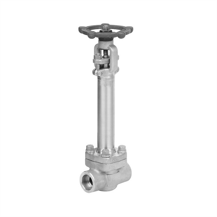 Forged Cryogenic SS304 Extended Stem Gate Valve Class 300