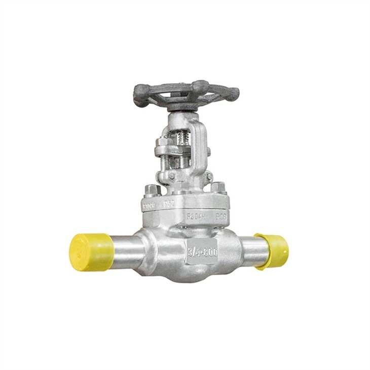 Stainless Steel Gate Valve With Extended Pipe
