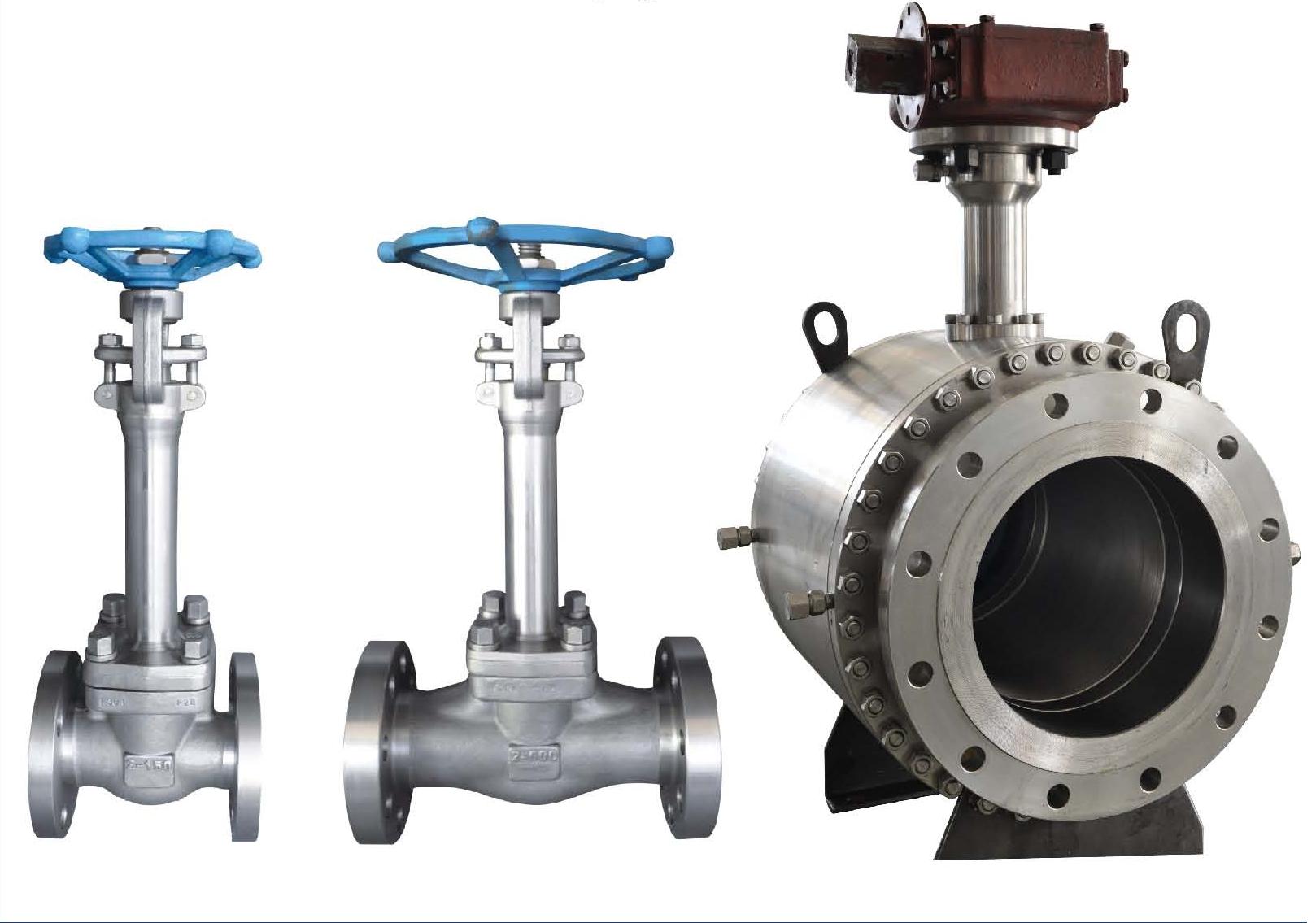 Choosing the Right Cryogenic Valves