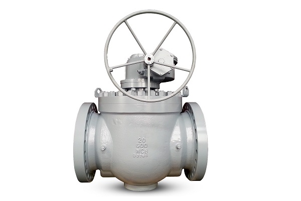 What is the top entry ball valve?