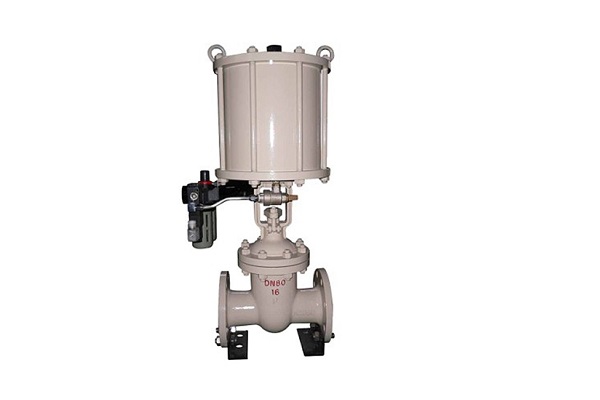 What are the advantages of the double disc gate valve?