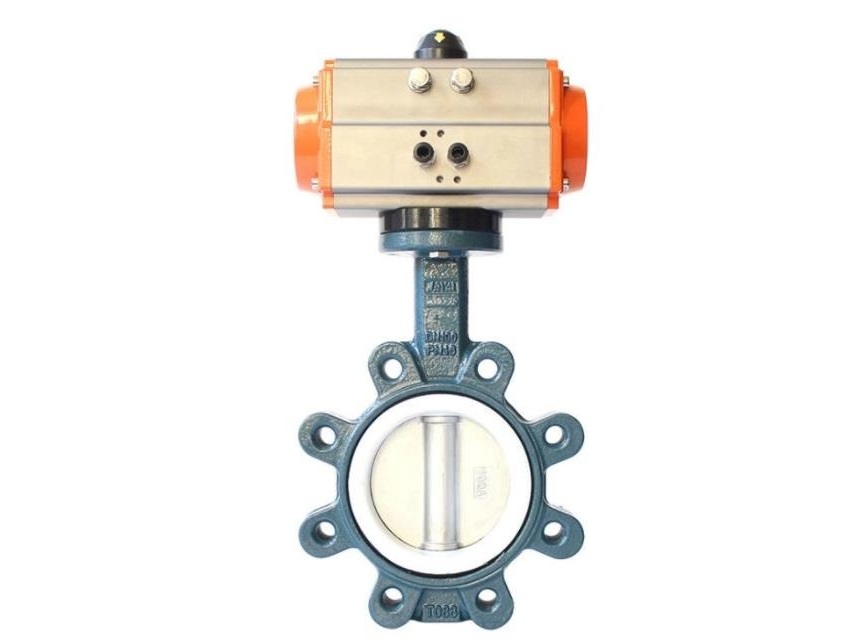 Lug Type butterfly valve