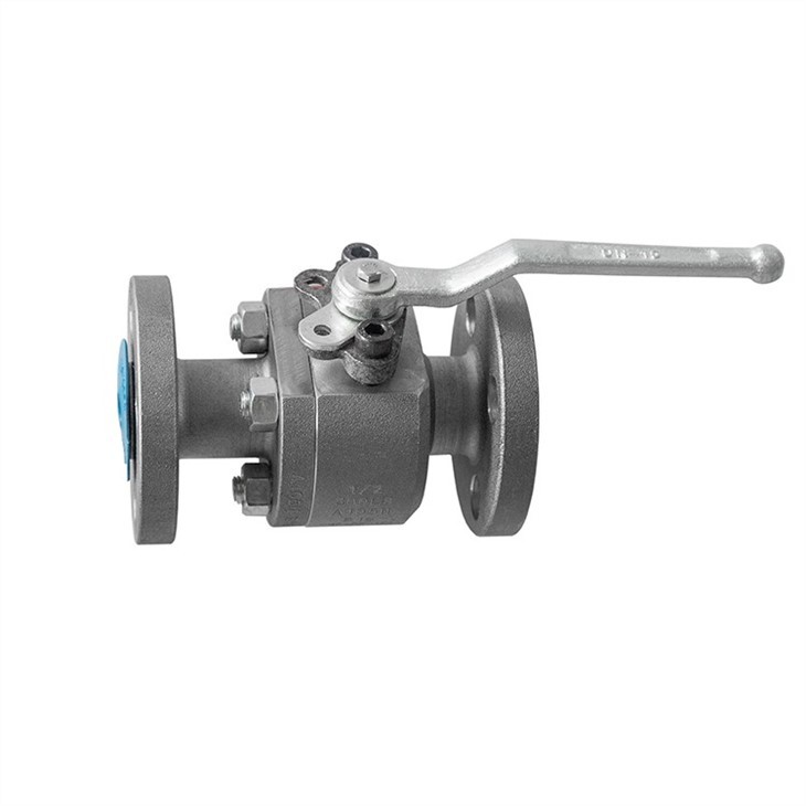 2 Piece Forged Steel Ball Valve RF