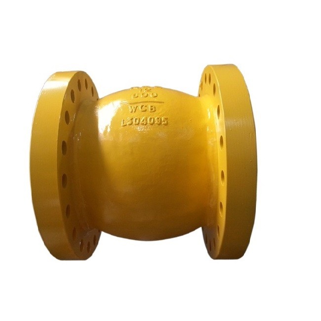 Axial Flow Check Valve