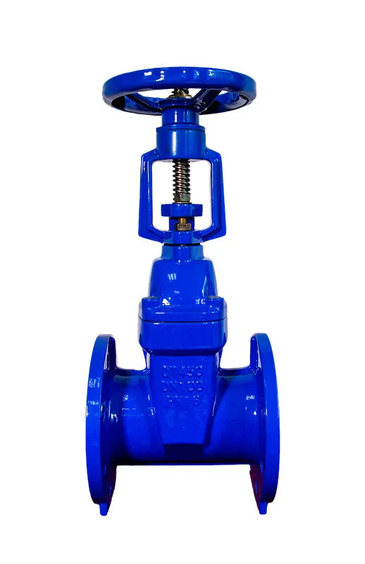 BS5163 CI OS&Y Gate Valve