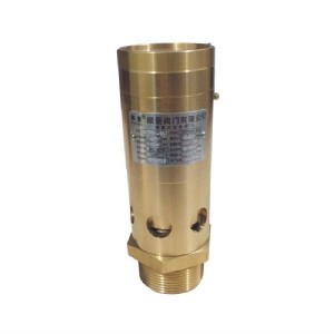 Bronze Spring Full Lift Safety Valve