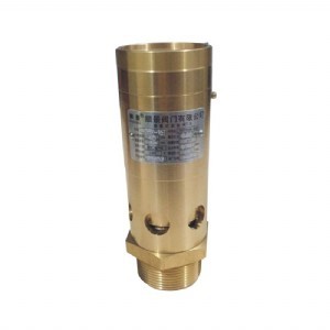 Bronze Spring Full Lift Safety Valve