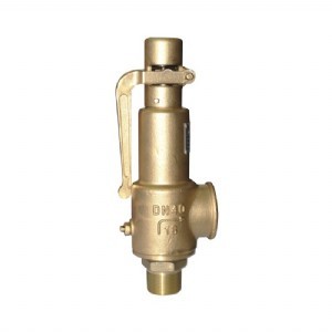 Bronze Spring Micro-Opening Safety Valve