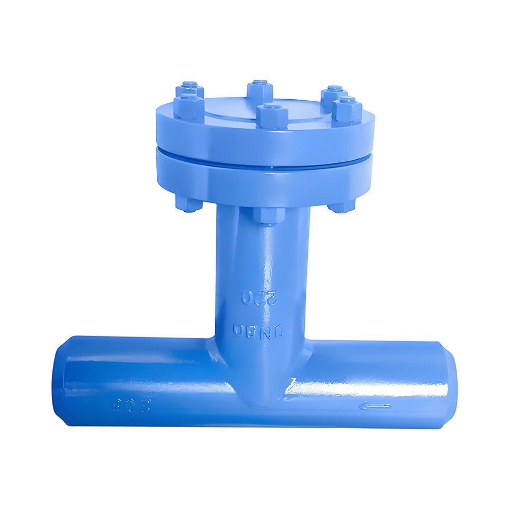 Butt Weld T-type Strainer
