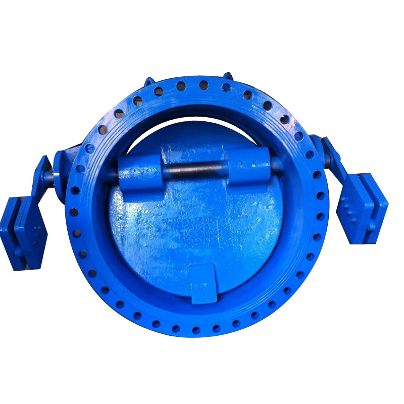 Butterfly Check Valve Flanged
