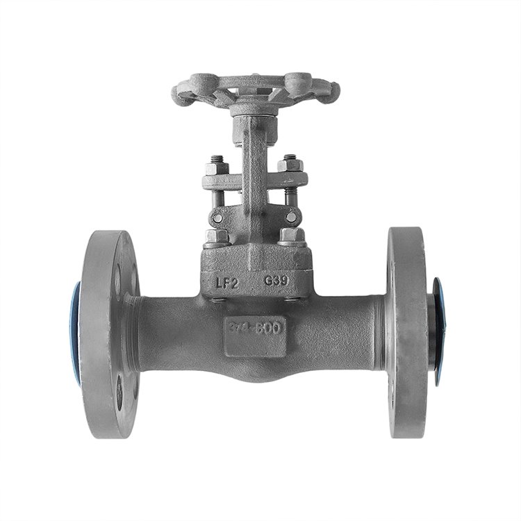 Cryogenic Forged Gate Valve Class 600 Integral Flange