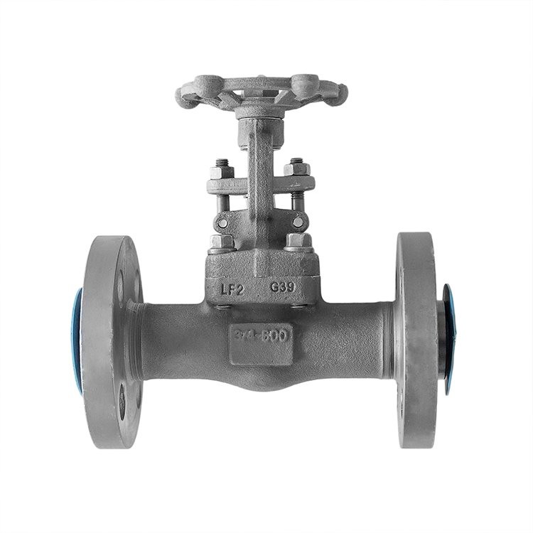 Cryogenic Forged Gate Valve Class 600 Integral Flange