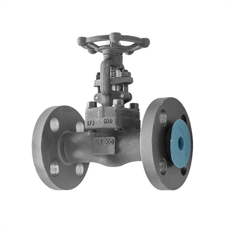 Cryogenic Forged Gate Valve Class 600 Integral Flange
