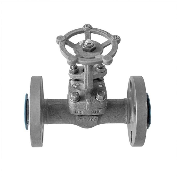 Cryogenic Forged Gate Valve Class 600 Integral Flange