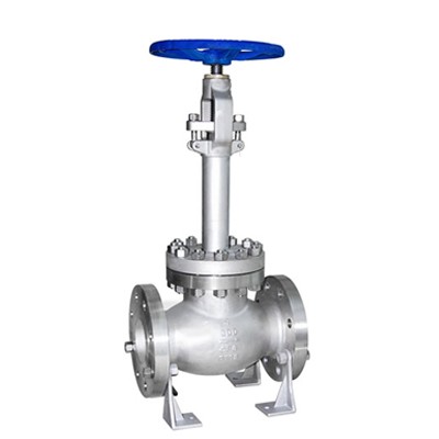 Cryogenic Globe Valve