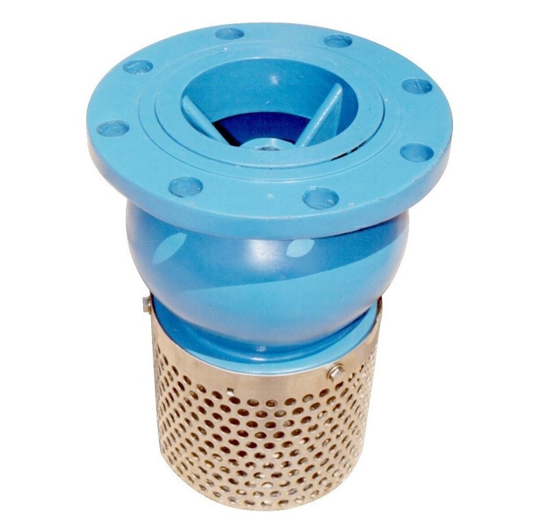 Ductile Iron Foot Valve