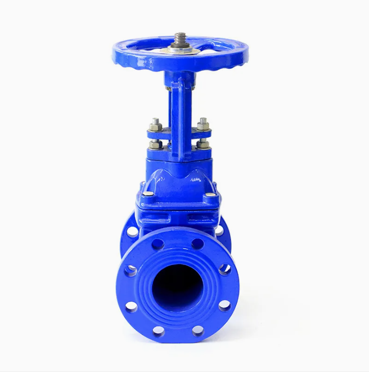 Ductile Iron Gate Valve