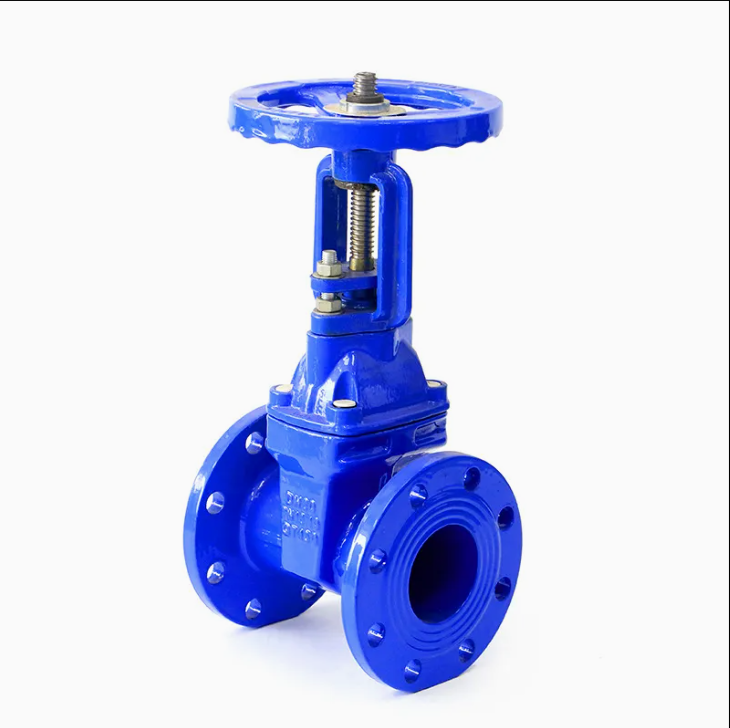 Ductile Iron Gate Valve