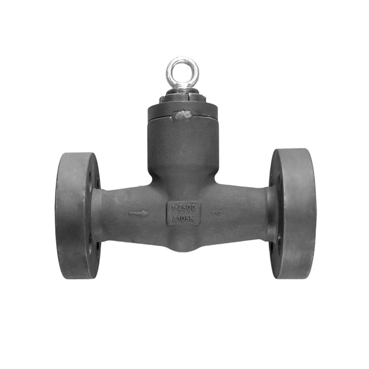 Flanged Pressure Seal Check Valves