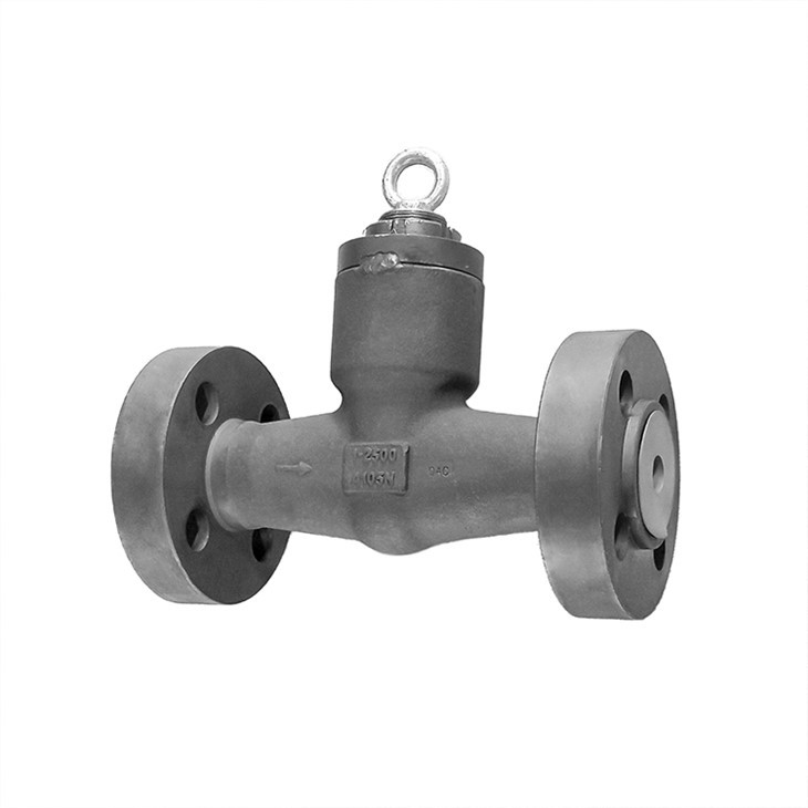 Flanged Pressure Seal Check Valves