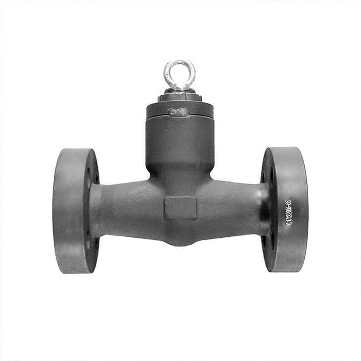 Flanged Pressure Seal Check Valves