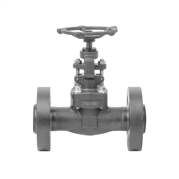 Forged A105 Integral Flanged Globe Valve
