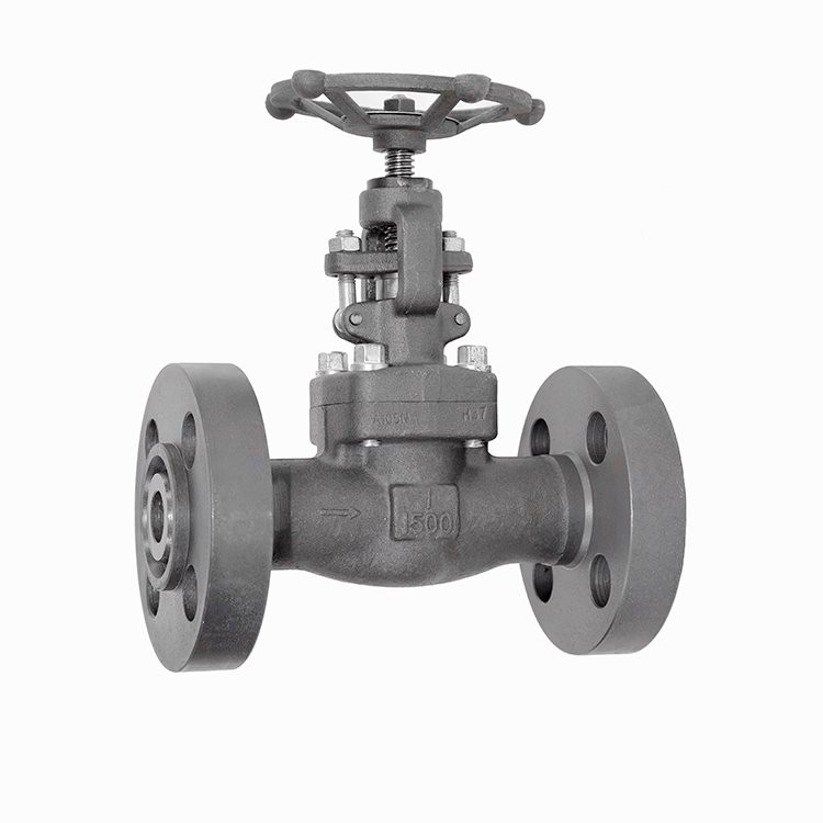 Forged A105 Integral Flanged Globe Valve