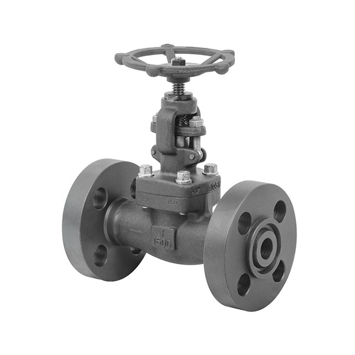 Forged A105 Integral Flanged Globe Valve