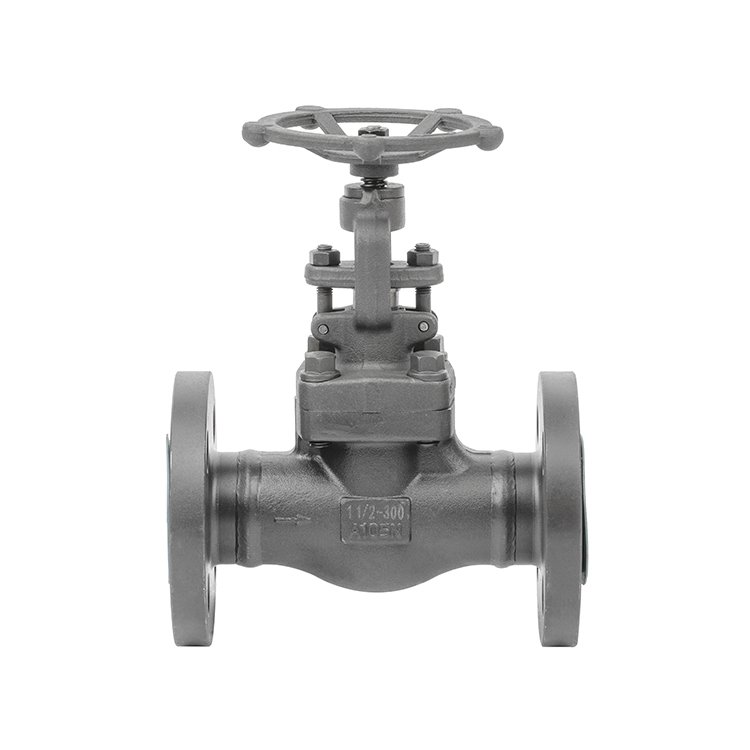 Forged A105 Welding Flange Globe Valve