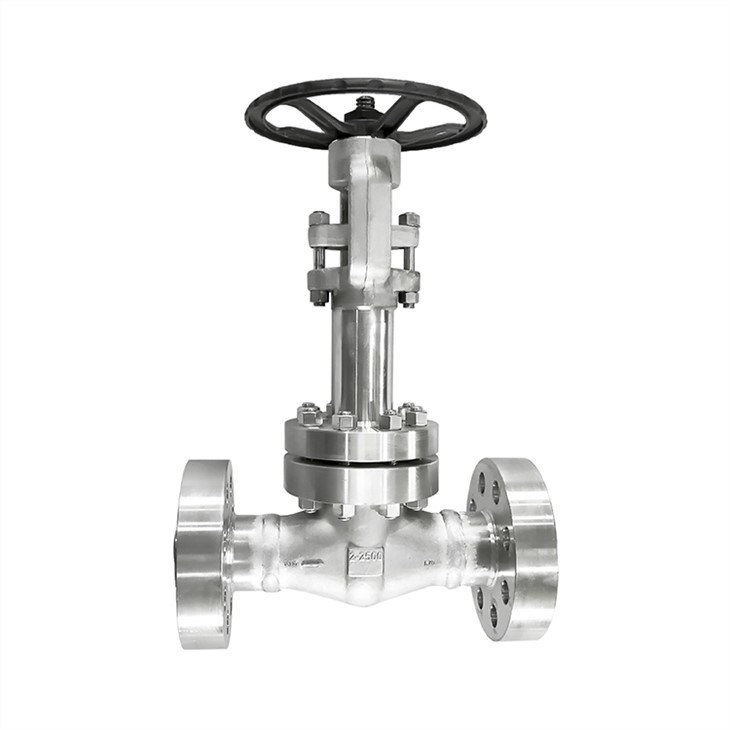 Forged Cryogenic Extended Bonnet Flanged Gate Valves