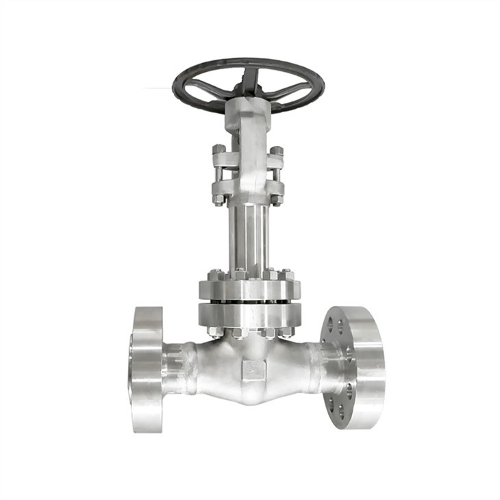 Forged Cryogenic Extended Bonnet Flanged Gate Valves