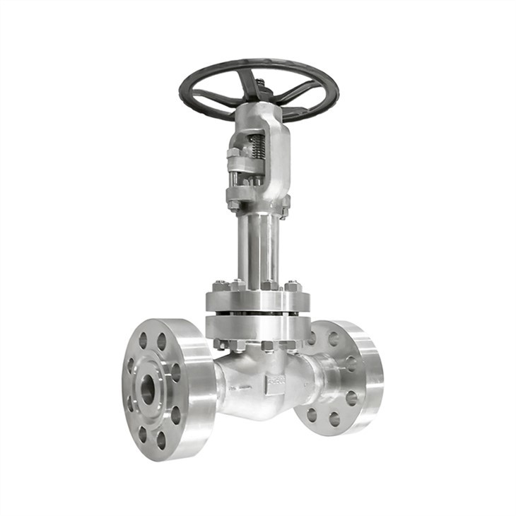 Forged Cryogenic Extended Bonnet Flanged Gate Valves