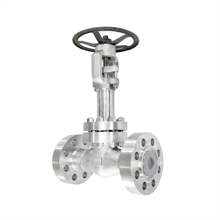 Forged Cryogenic Extended Bonnet Flanged Gate Valves