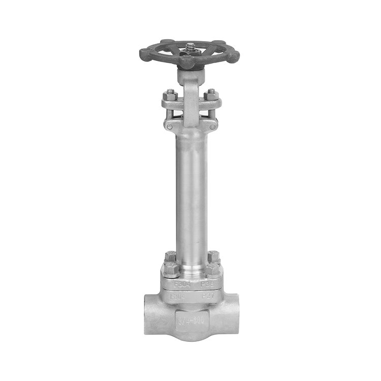 Forged Cryogenic SS304 Extended Stem Gate Valve Class 300