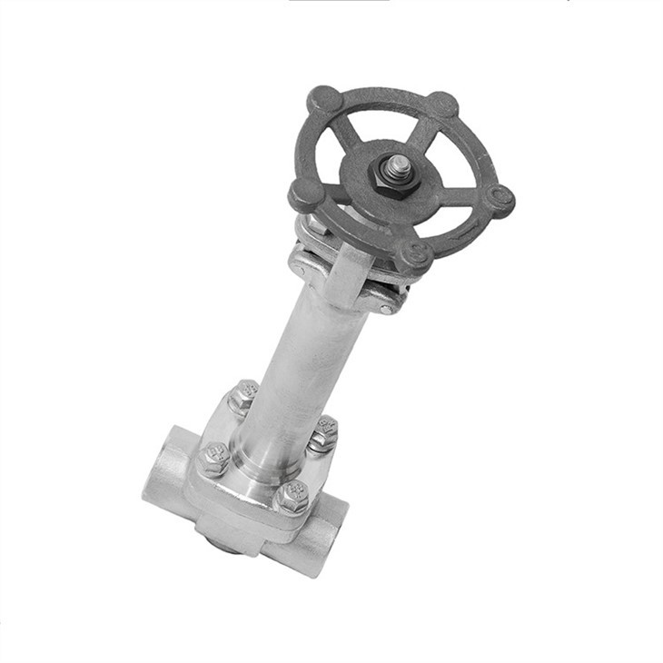 Forged Cryogenic SS304 Extended Stem Gate Valve Class 300