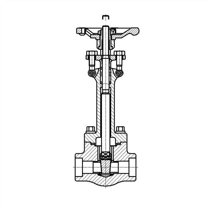 Forged Cryogenic SS304 Extended Stem Gate Valve Class 300