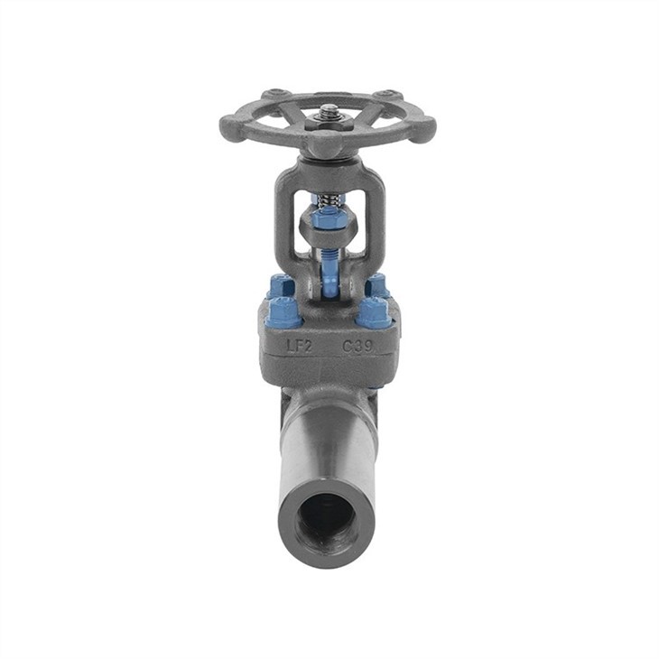 Forged Extended Bonnet Gate Valve