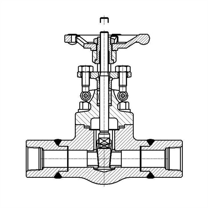 Forged Extended Bonnet Gate Valve