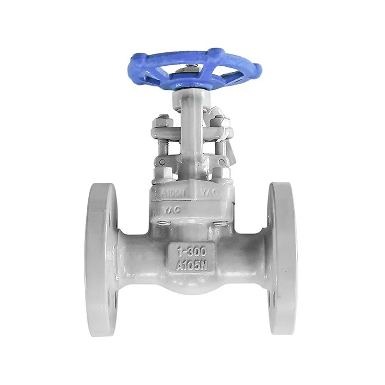 Forged Flange Oil-free Degreasing Gate Valve