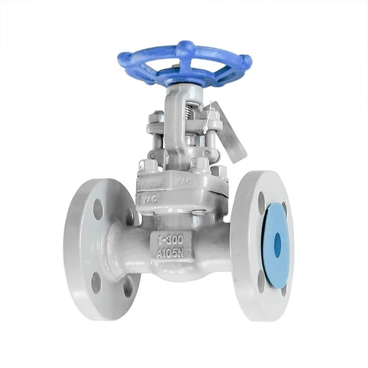 Forged Flange Oil-free Degreasing Gate Valve