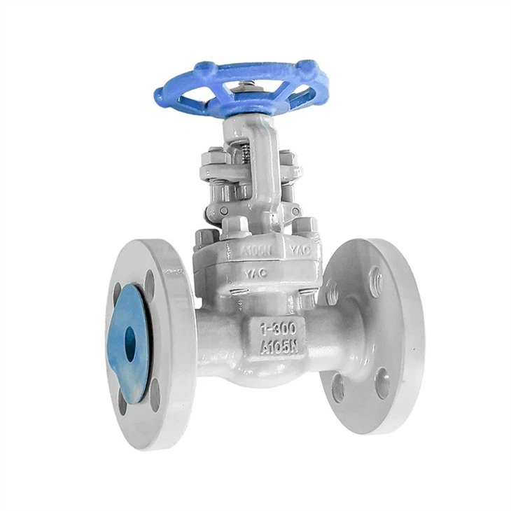 Forged Flange Oil-free Degreasing Gate Valve
