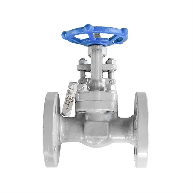Forged Flange Oil-free Degreasing Gate Valve
