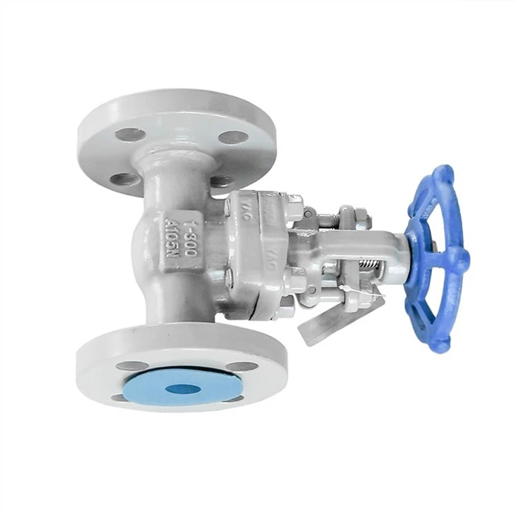 Forged Flange Oil-free Degreasing Gate Valve