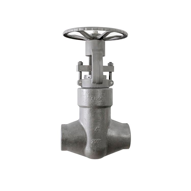 Forged High Pressure Self-sealing Gate Valve