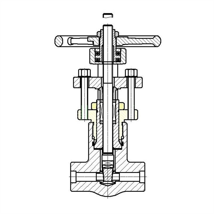 Forged High Pressure Self-sealing Gate Valve