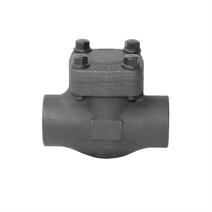 Forged Lift Check Valve Socket Weld 