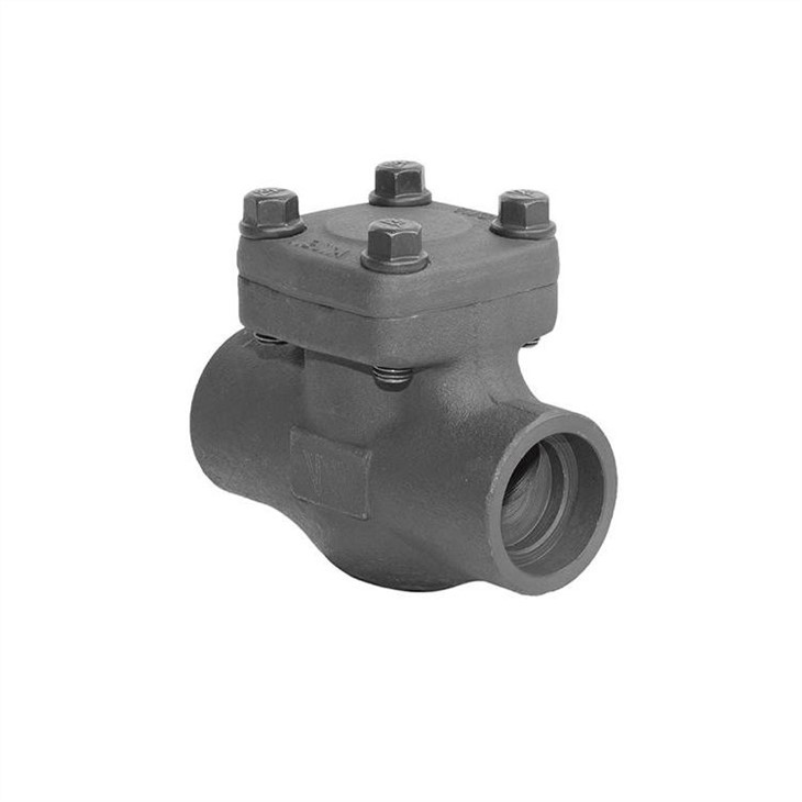 Forged Lift Check Valve Socket Weld 