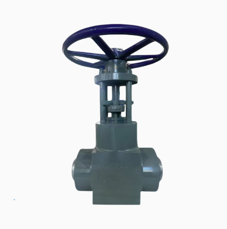 Forged Power Station Globe Valve Manual