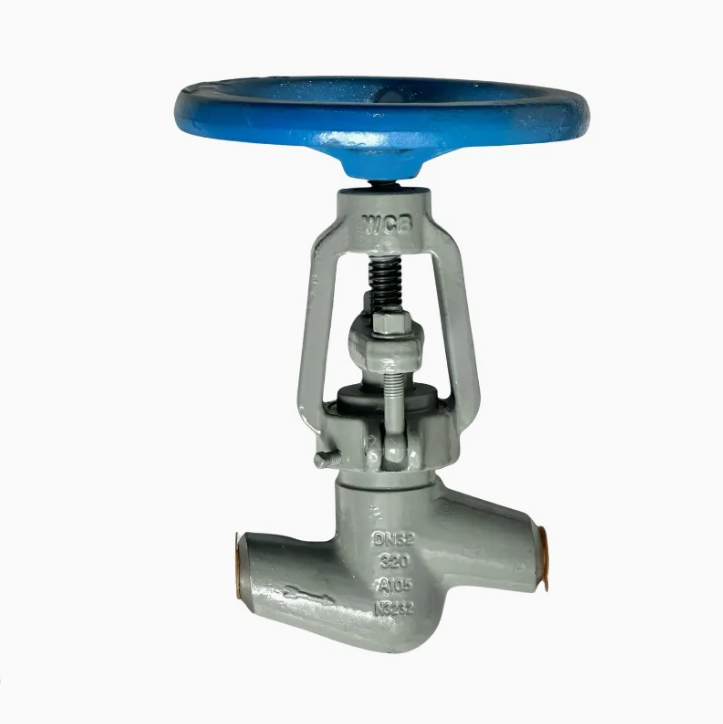 Forged Power Station Globe Valve